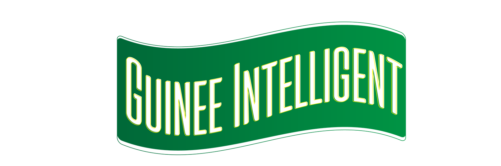 GUINEE INTELLIGENT